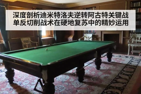 深度剖析迪米特洛夫逆转阿古特关键战 单反切削战术在硬地复苏中的精妙运用
