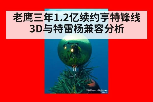 老鹰三年1.2亿续约亨特锋线3D与特雷杨兼容分析