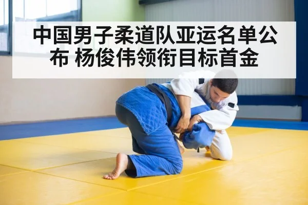 中国男子柔道队亚运名单公布 杨俊伟领衔目标首金
